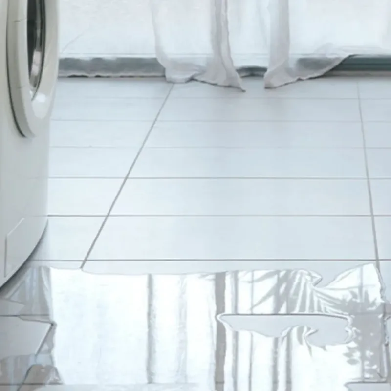Appliance Leak Cleanup in Allen Park, MI