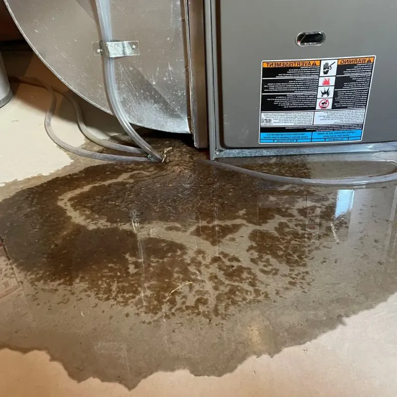 Pipe Burst and Leak Restoration in Allen Park, MI