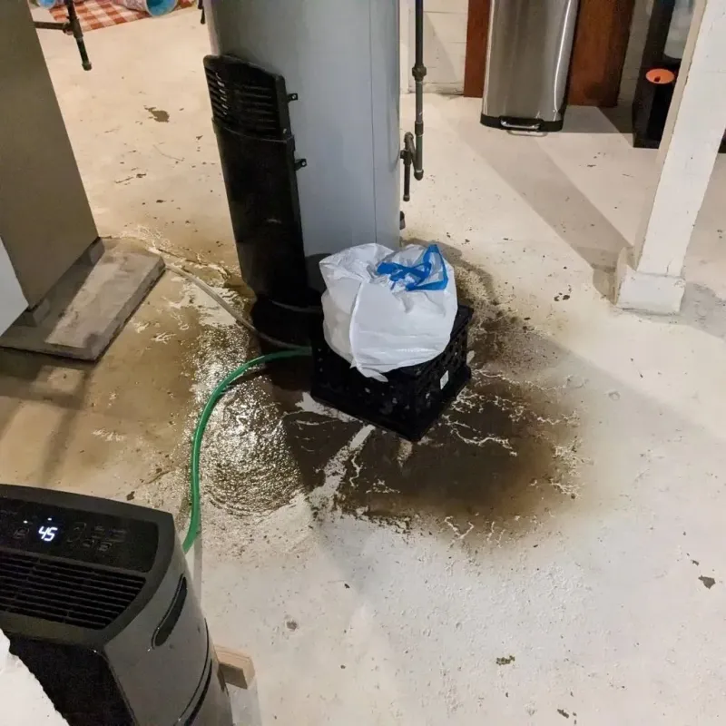 Sewage Backup Cleanup Service in Allen Park, MI